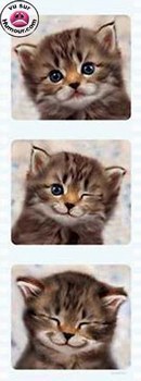 trop choux