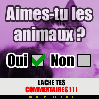 repond si te plait